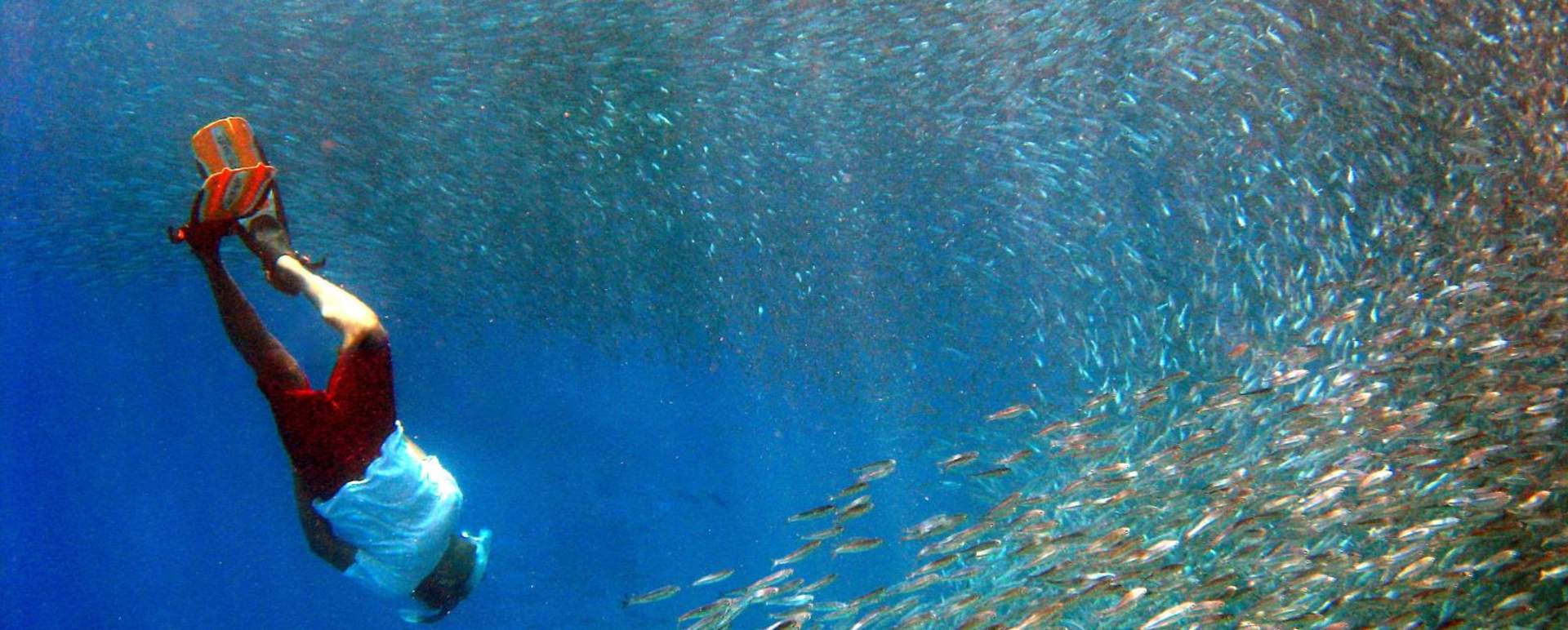 Snorkelling 