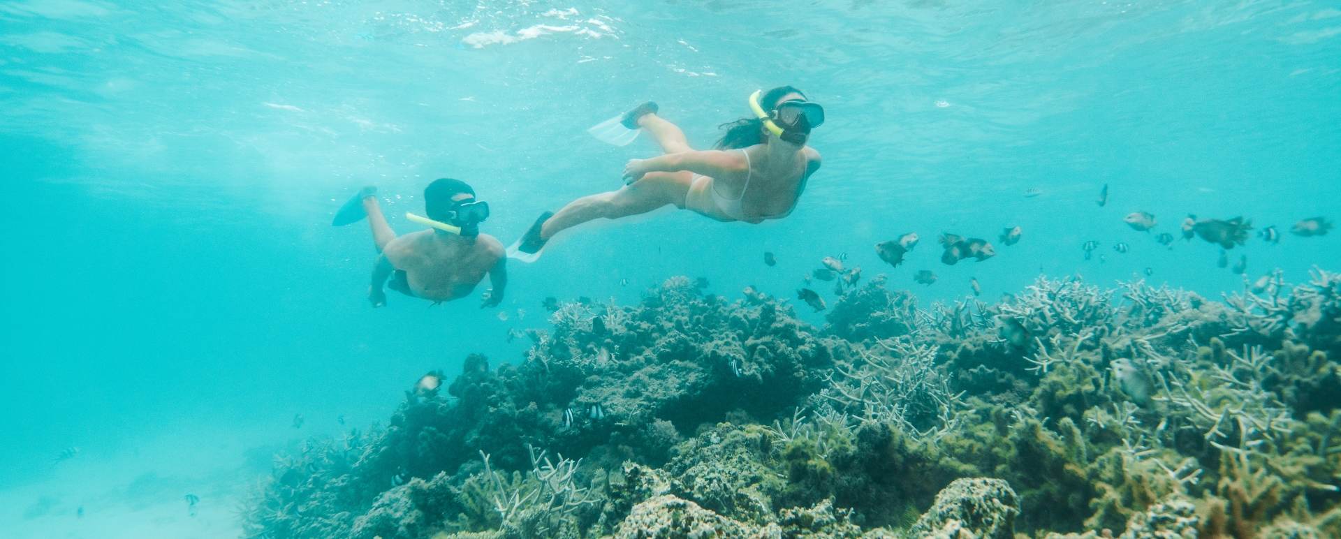 Snorkelling 