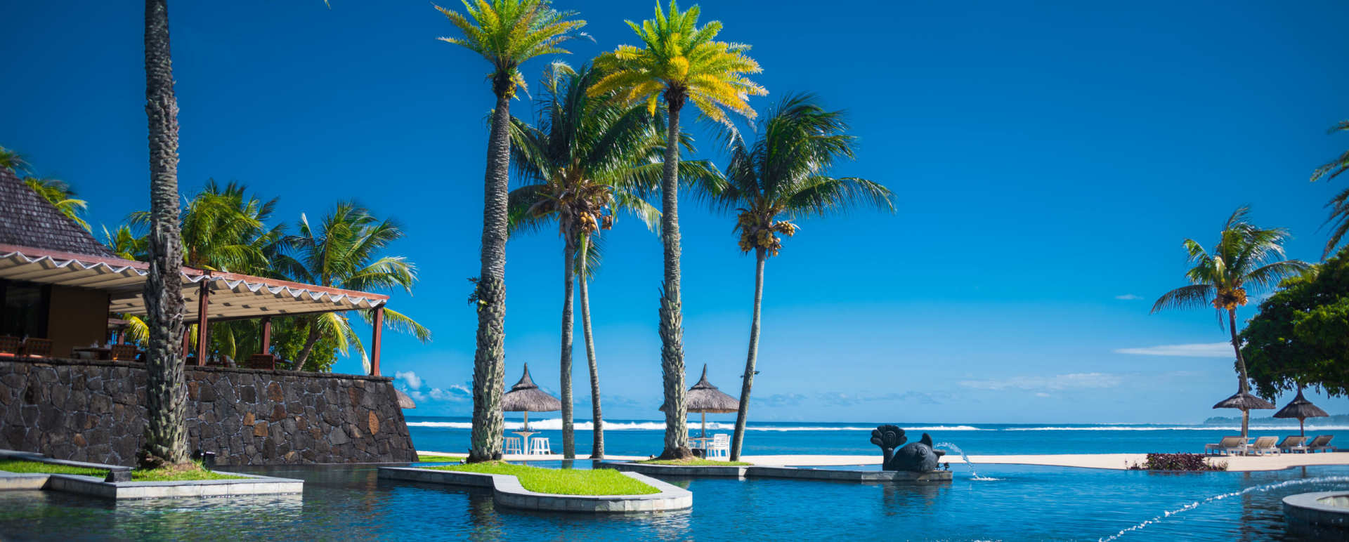 Pool Plam Trees 