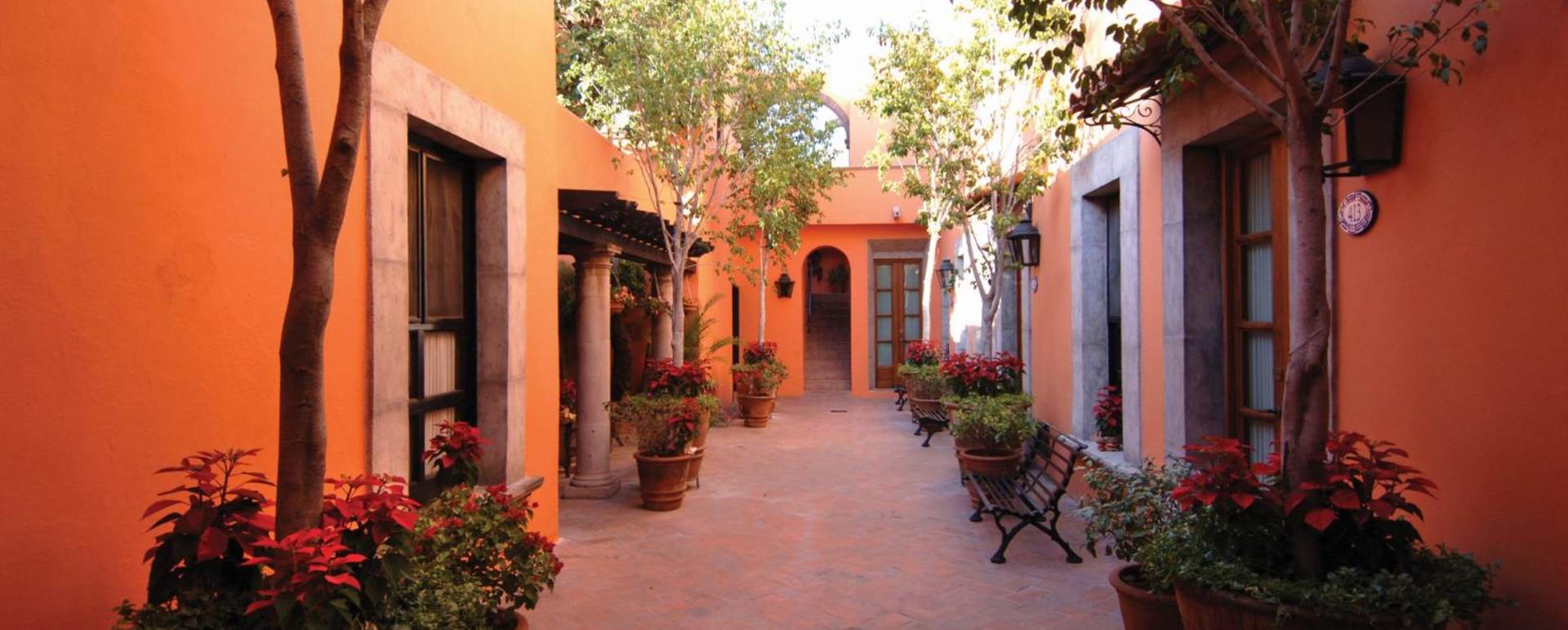 Patio - Casa de Sierra Nevada