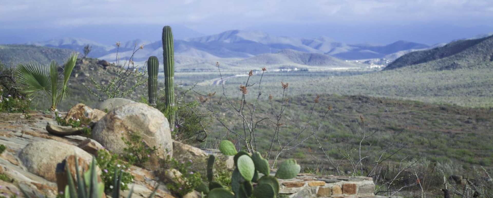 Landscape   - Hotel Guaycura