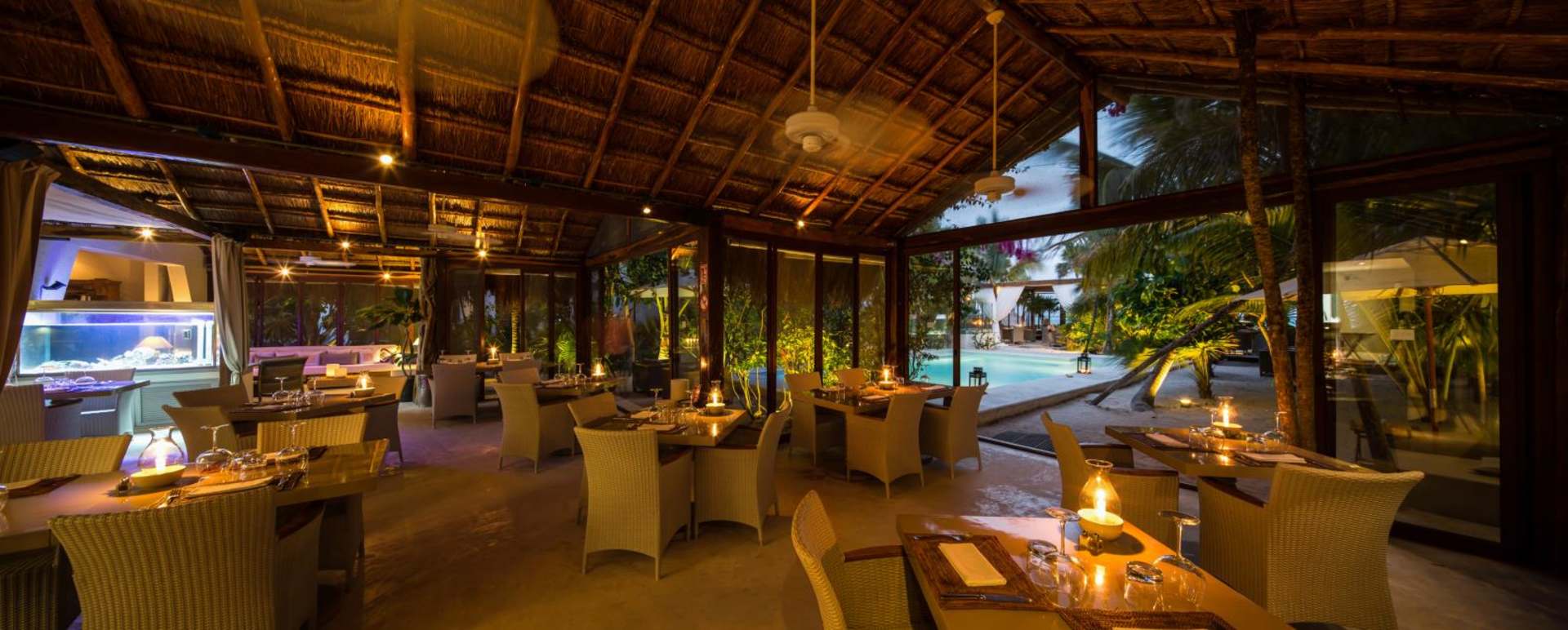 Sahara Cafe - Jashita
