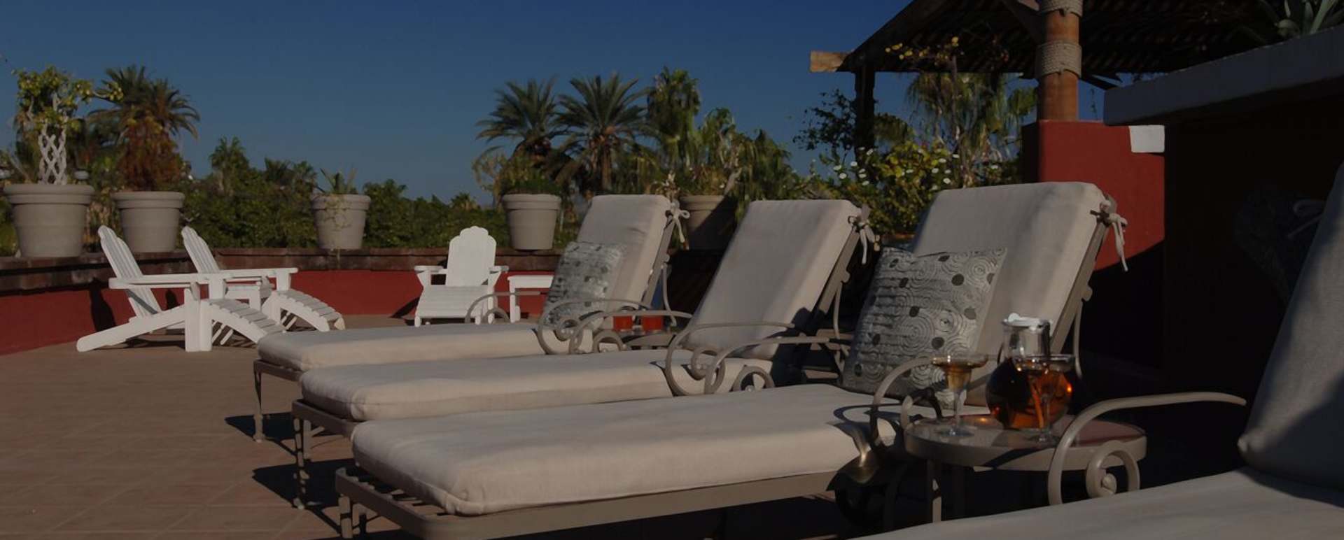 Sunloungers - Posada de las Flores Loreto