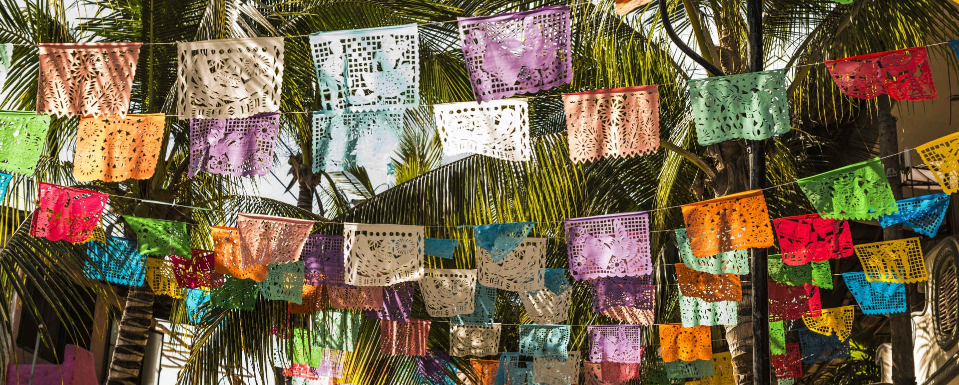 Afternoon Private Foodie Adventure in Sayulita