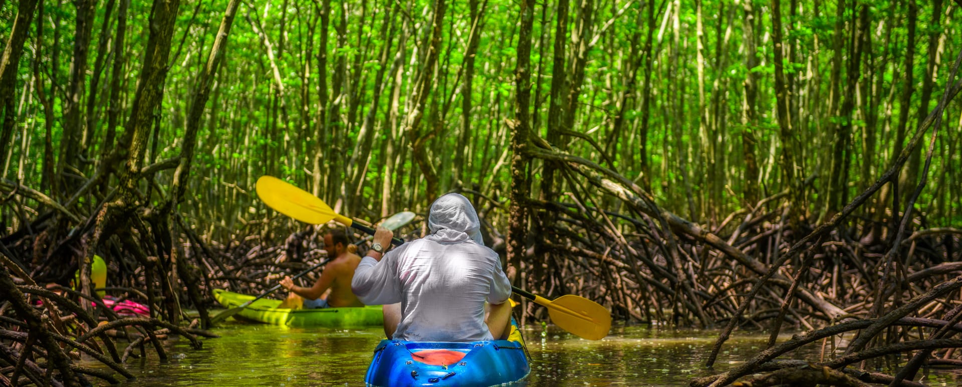 Kayak to Kitchen