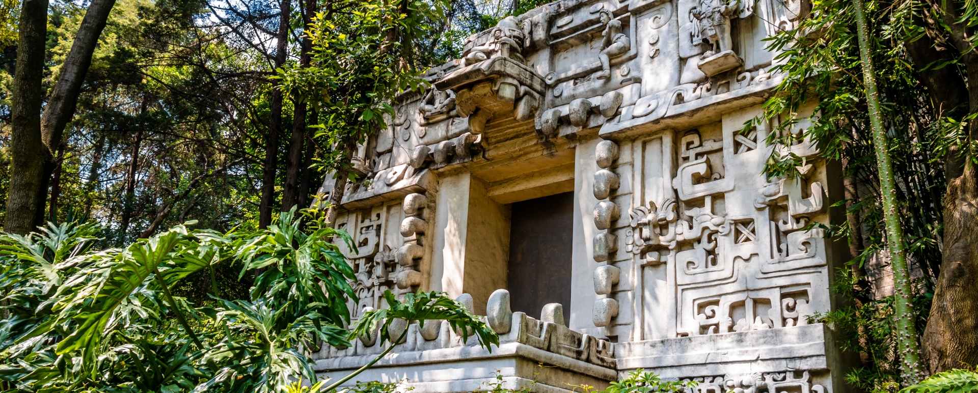 National museum of Anthropology out of hours private tour