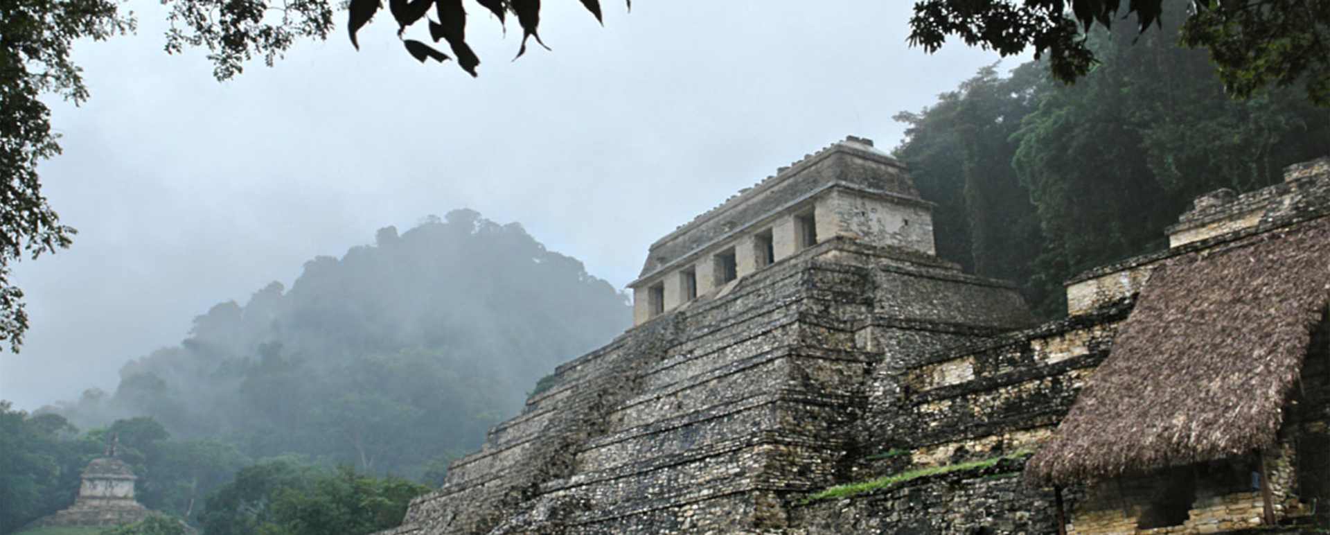Perfect Palenque