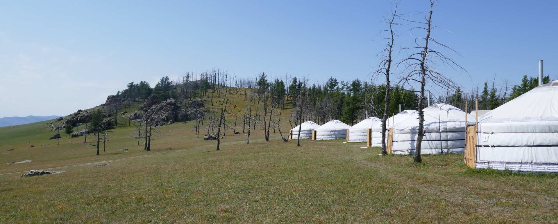 The Camp  