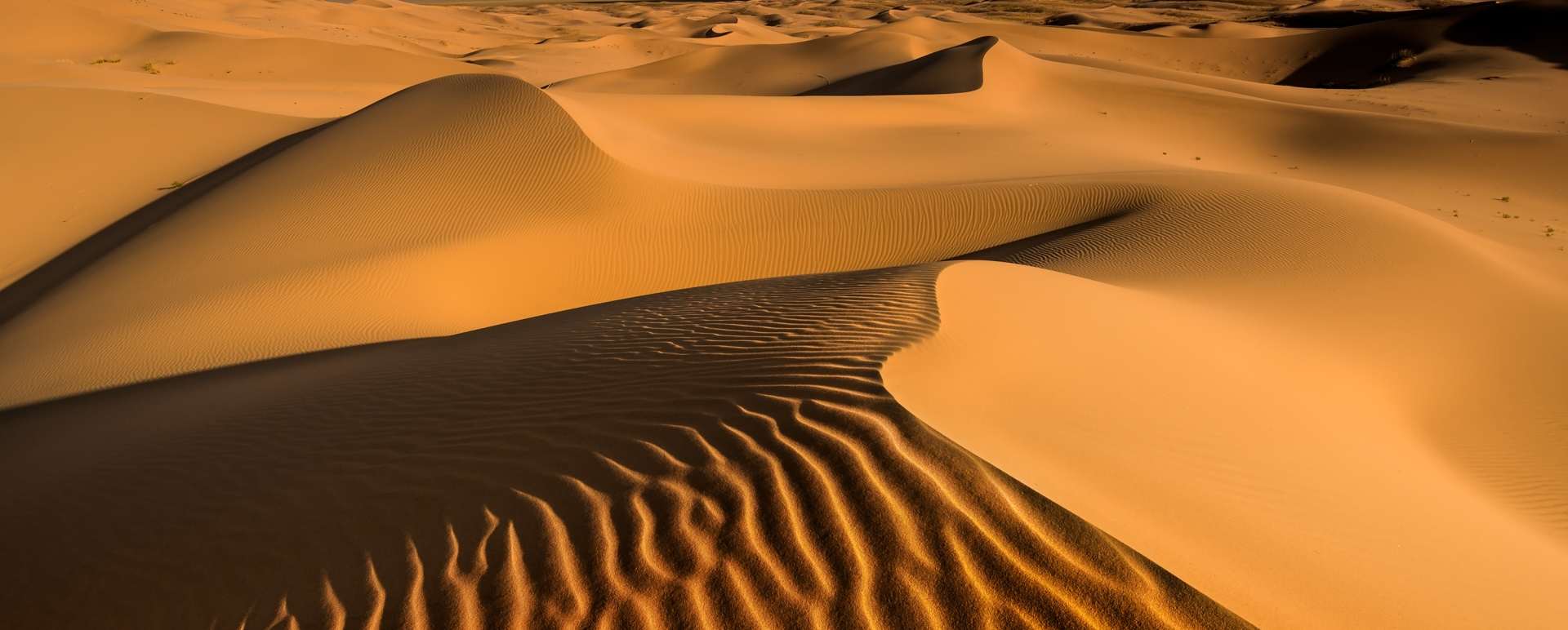 Motlsog Els Sand Dunes