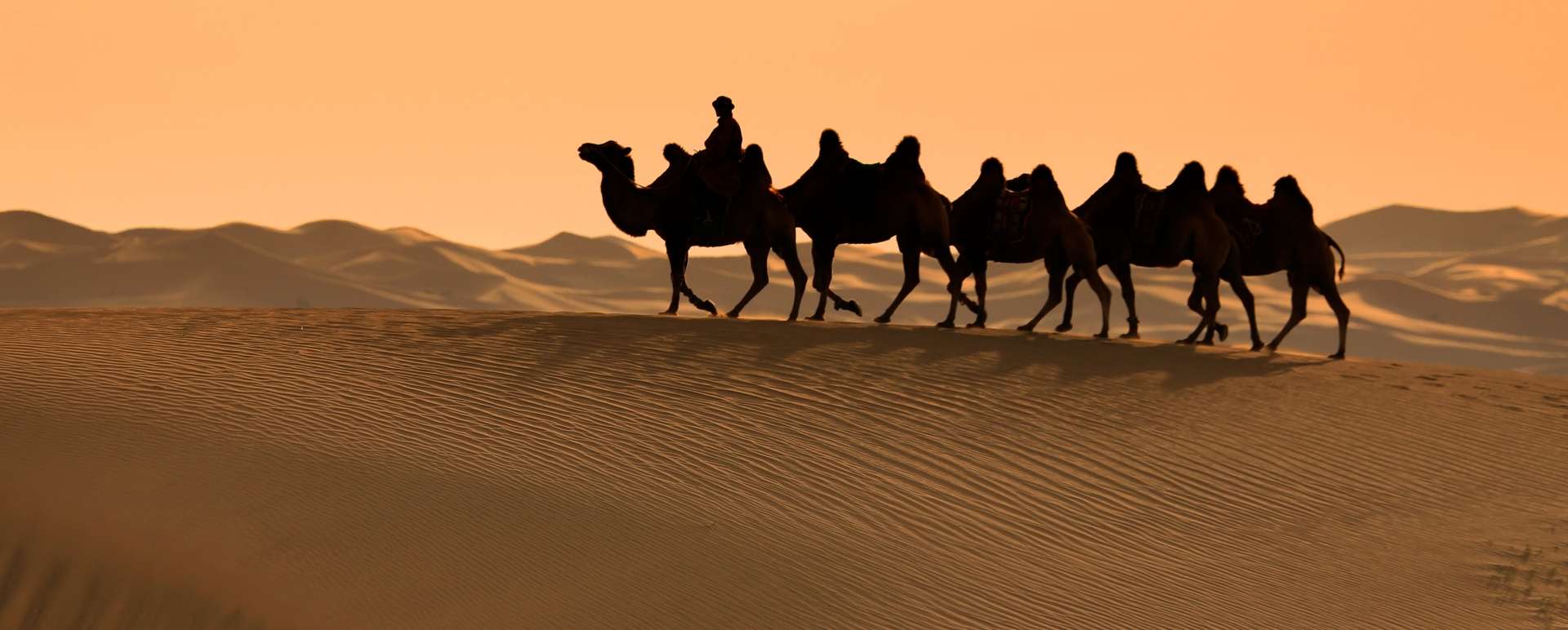 Gobi Desert 