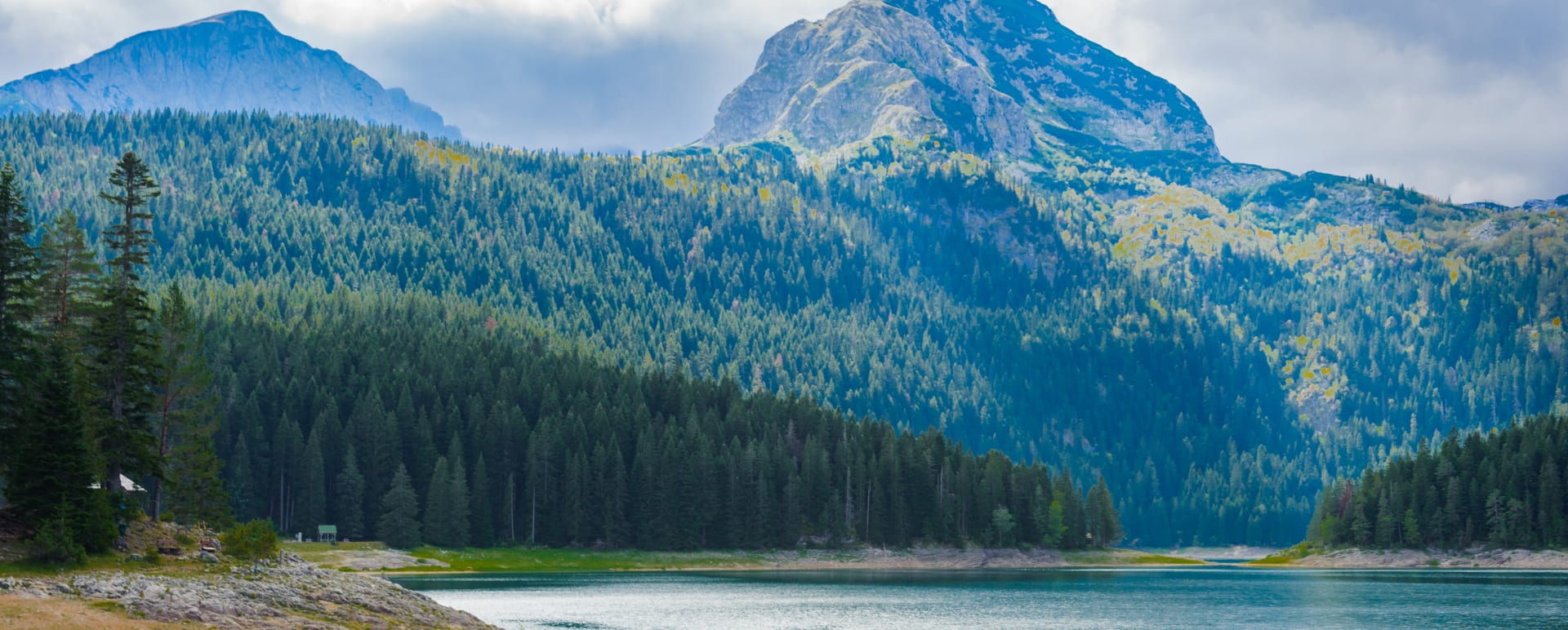 Helicopter Wilderness Picnic Experience