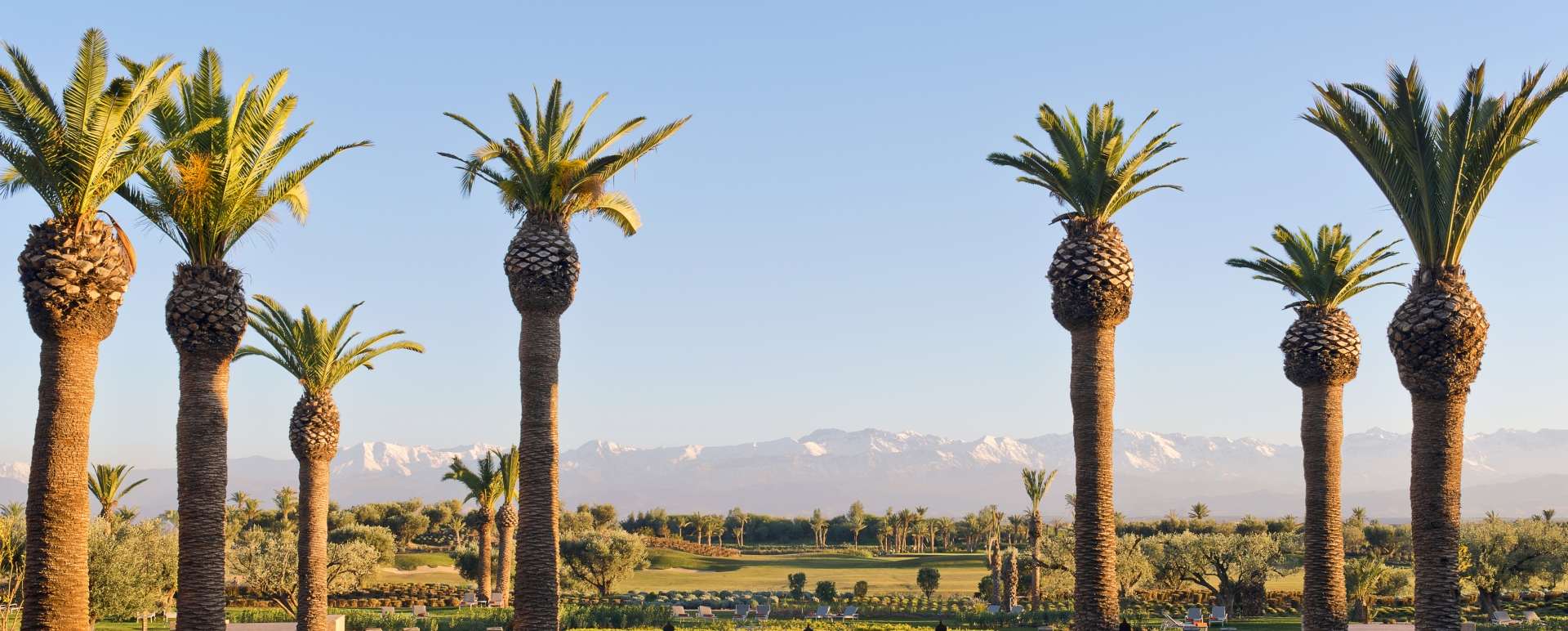 View from the lobby - Royal Palm Marrakech