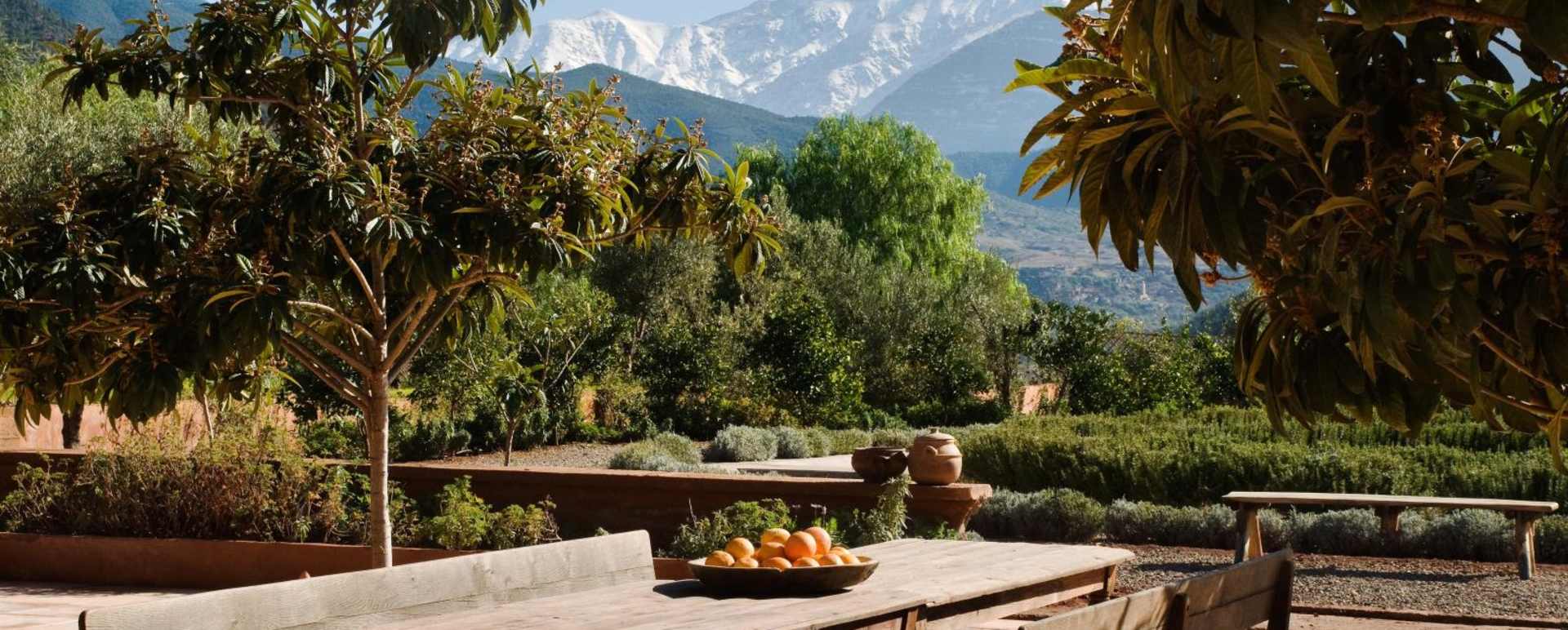 Terrace - Kasbah Bab Ourika