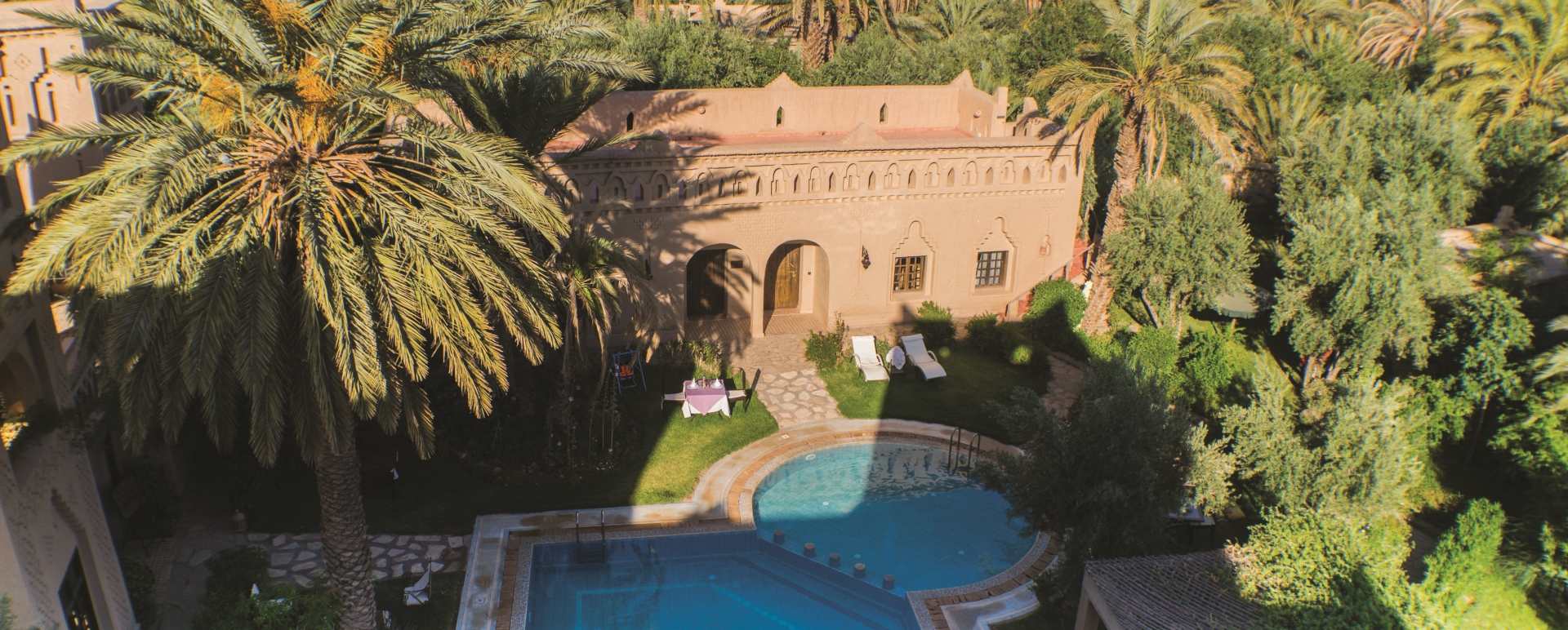 Swimming Pool and surrounding palm grove