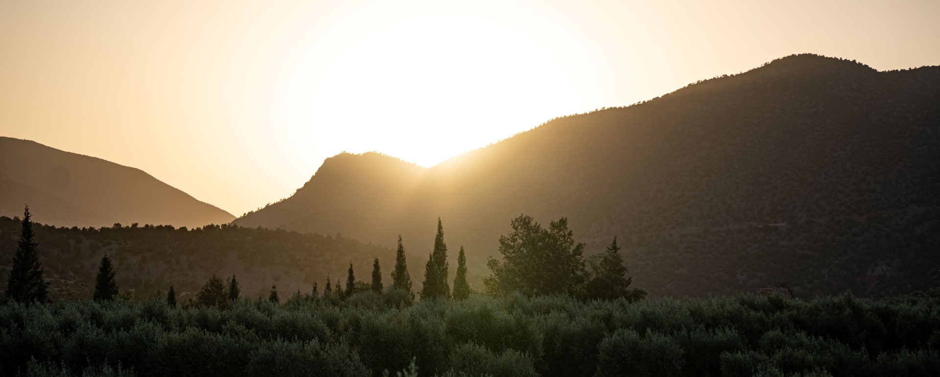 Sunset - Olinto 