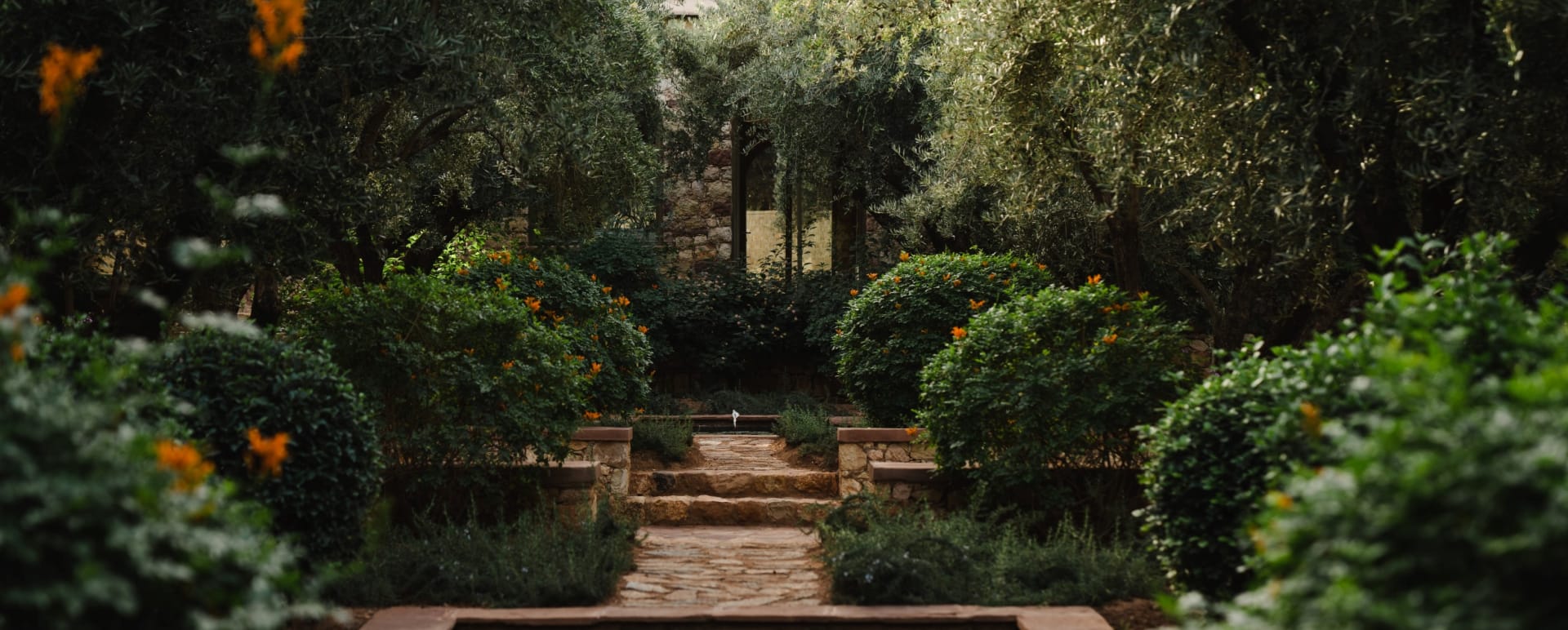 Gardens - Olinto 