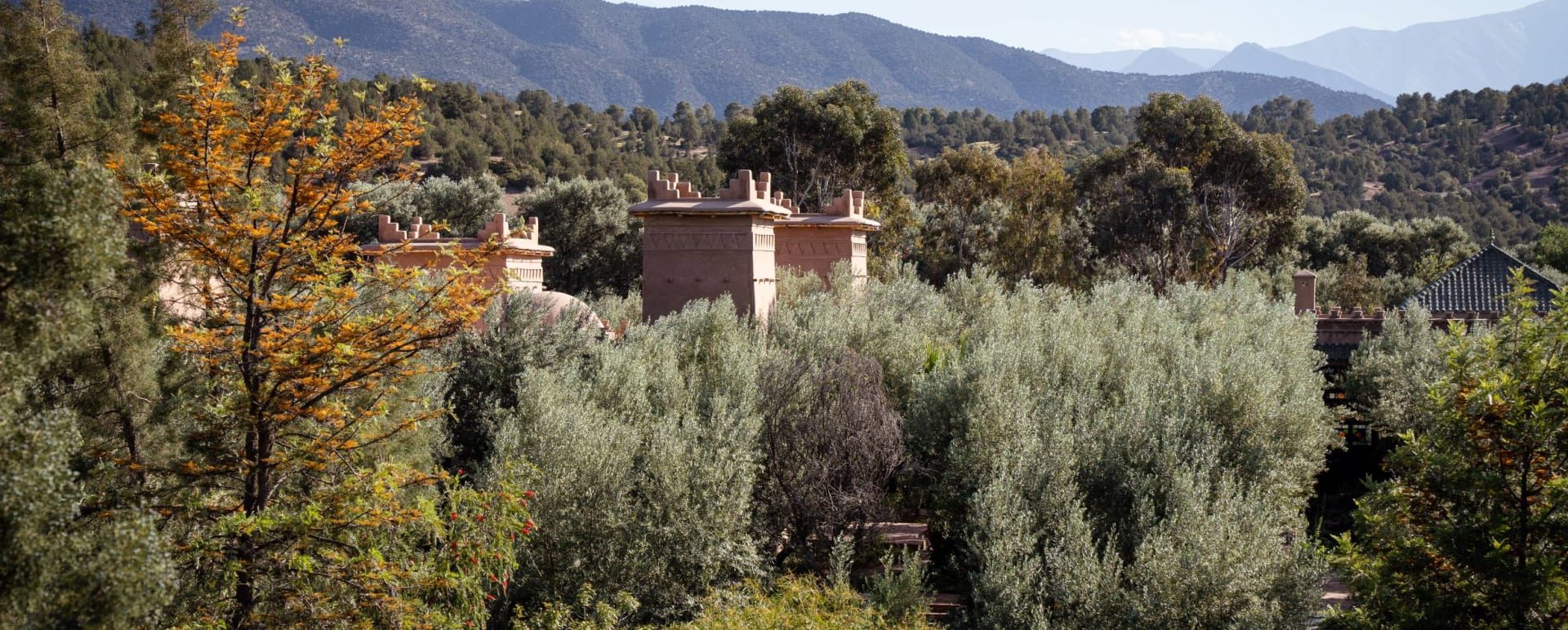 Property View - Olinto  