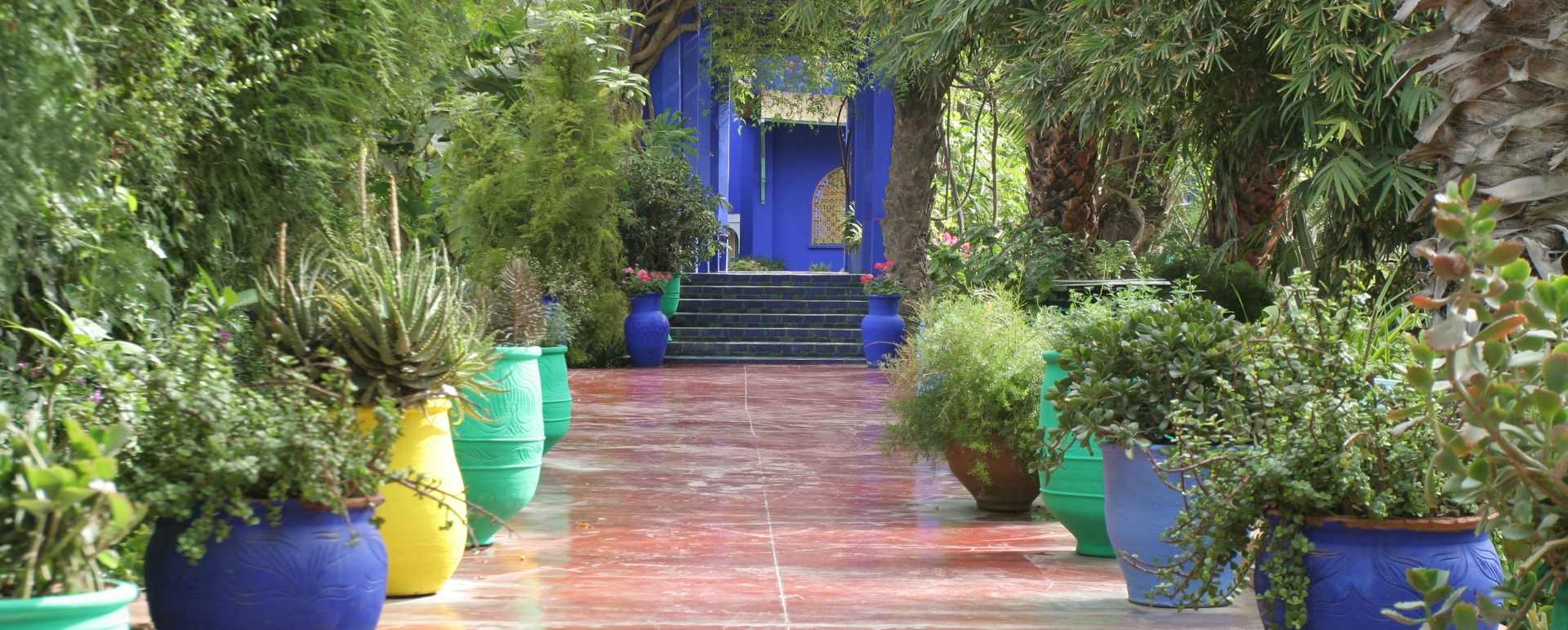 Visit the Majorelle gardens
