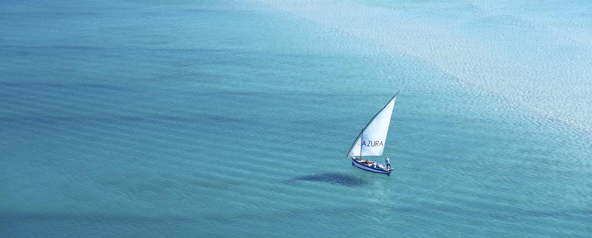 Dhow sailing 