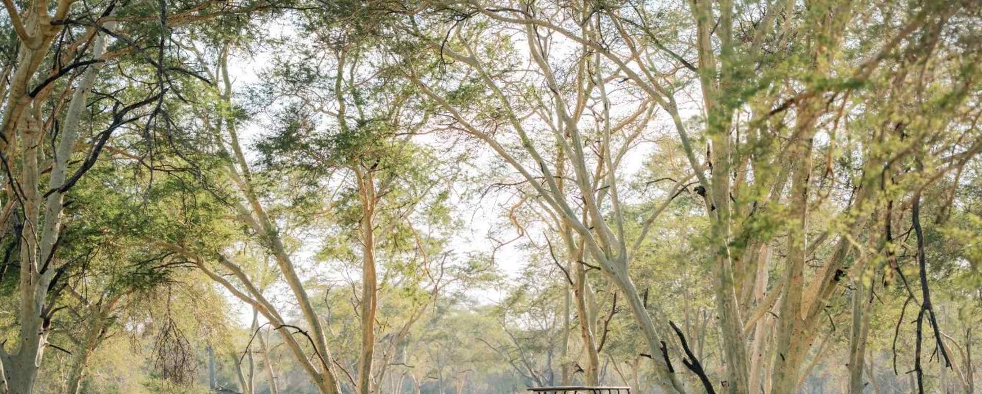 Game drive 