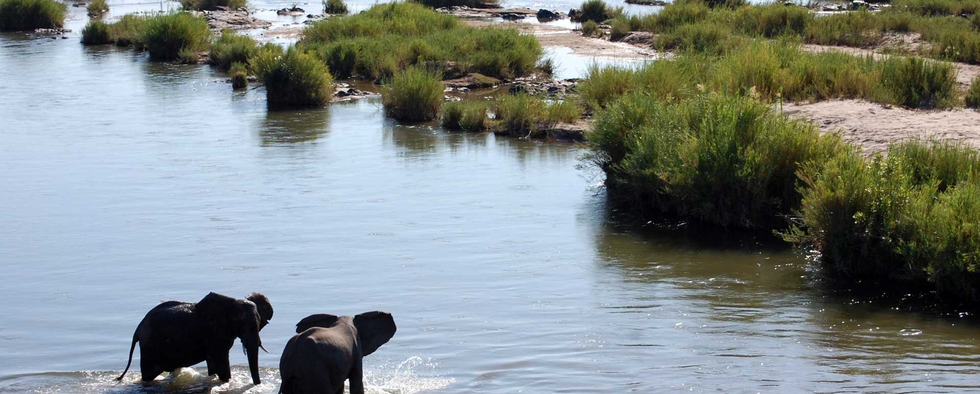Greater Kruger  
