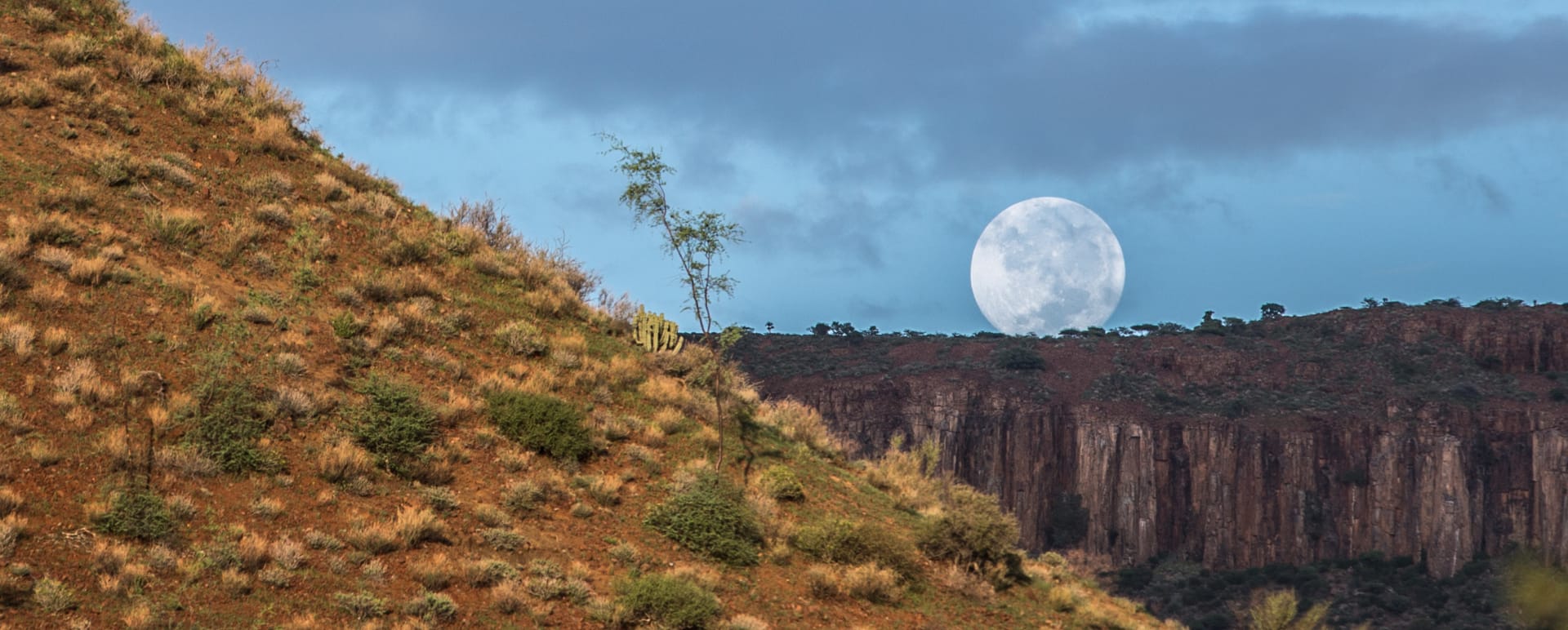 Moon 