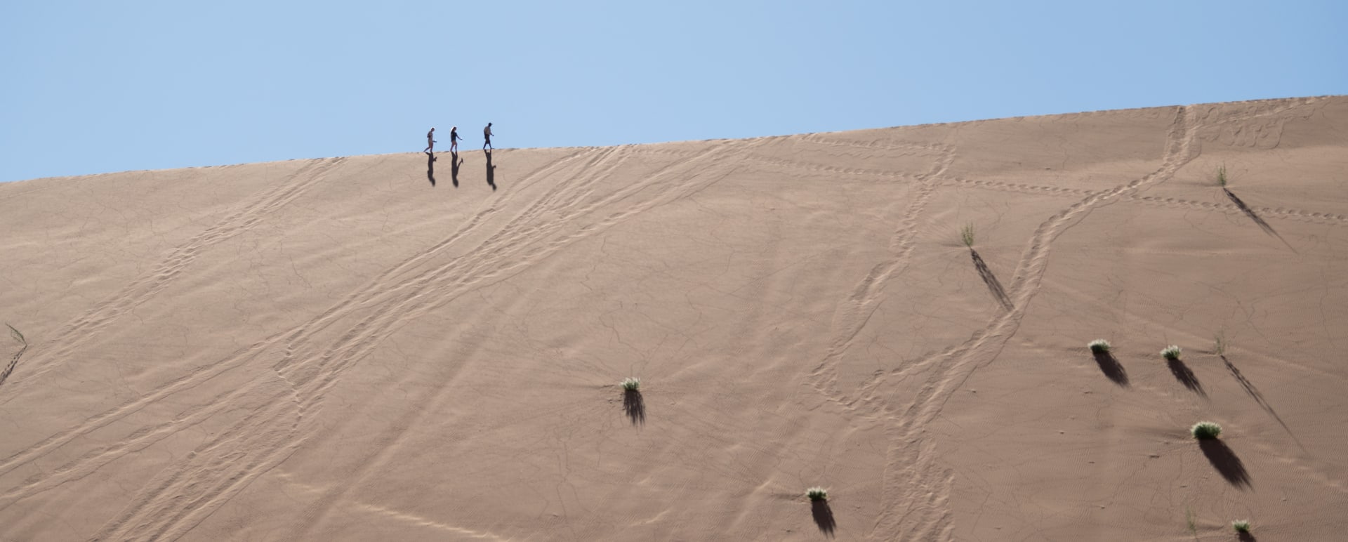 Desert walk 