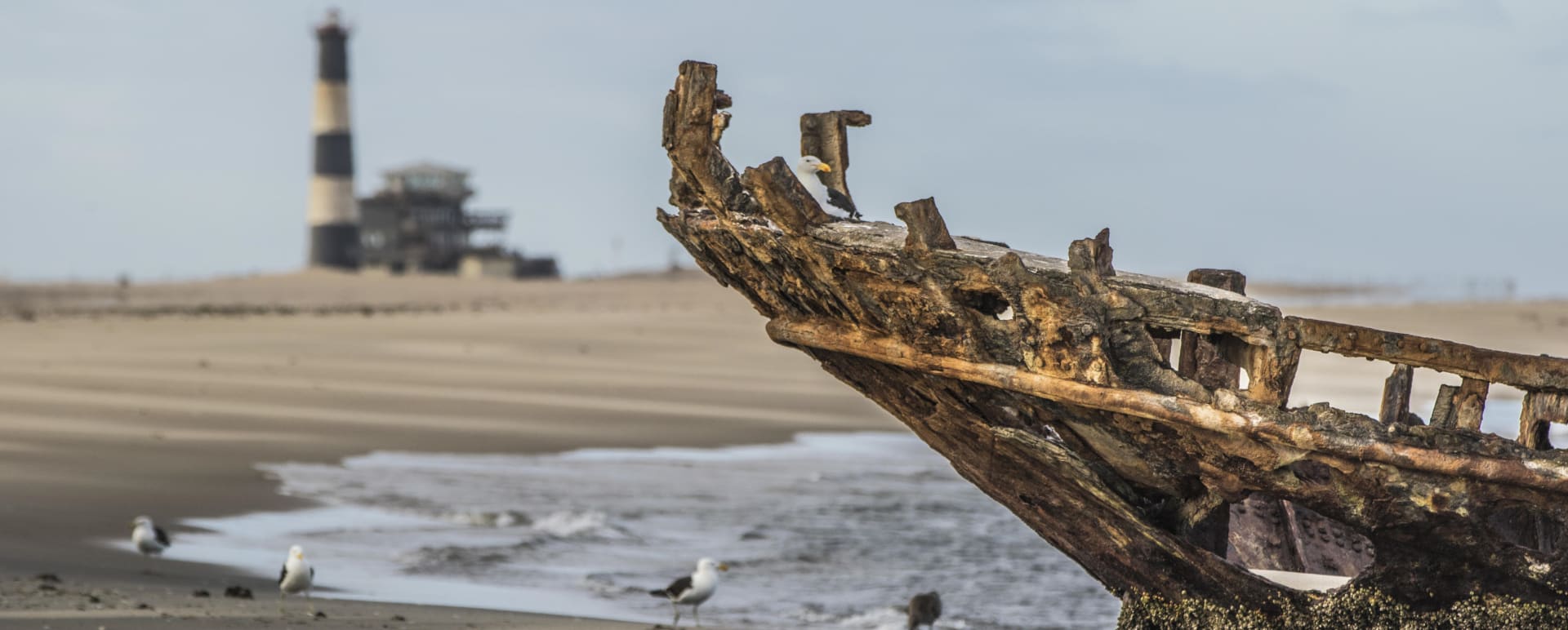 Pelican Point  