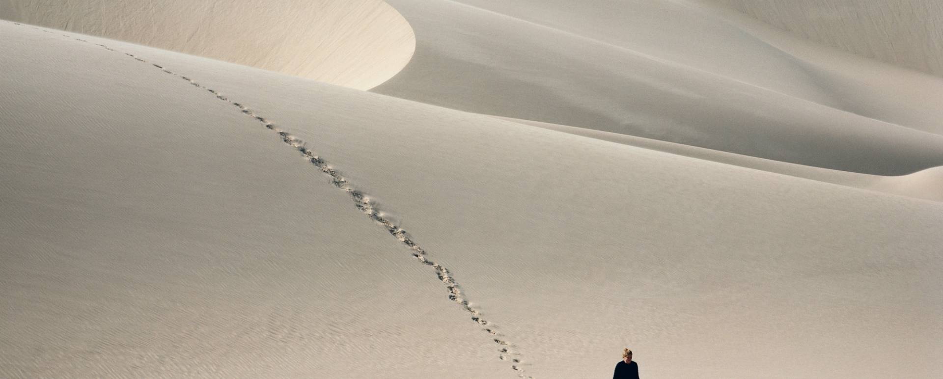 Dunes - Shipwreck Lodge
