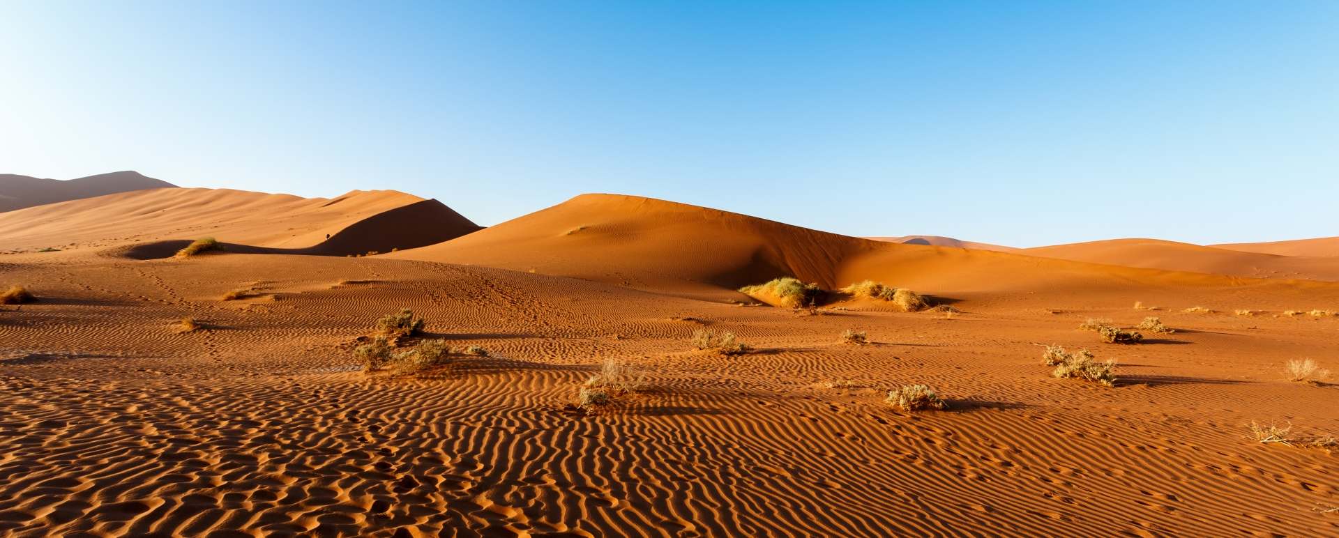 Namib Desert - Namibia for Teenagers