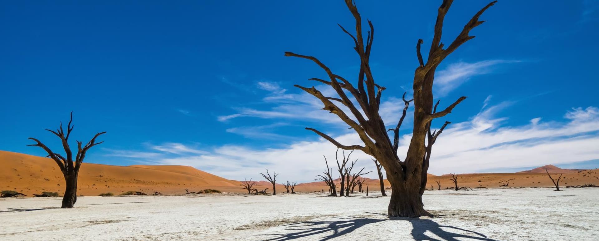 Namibia Guide
