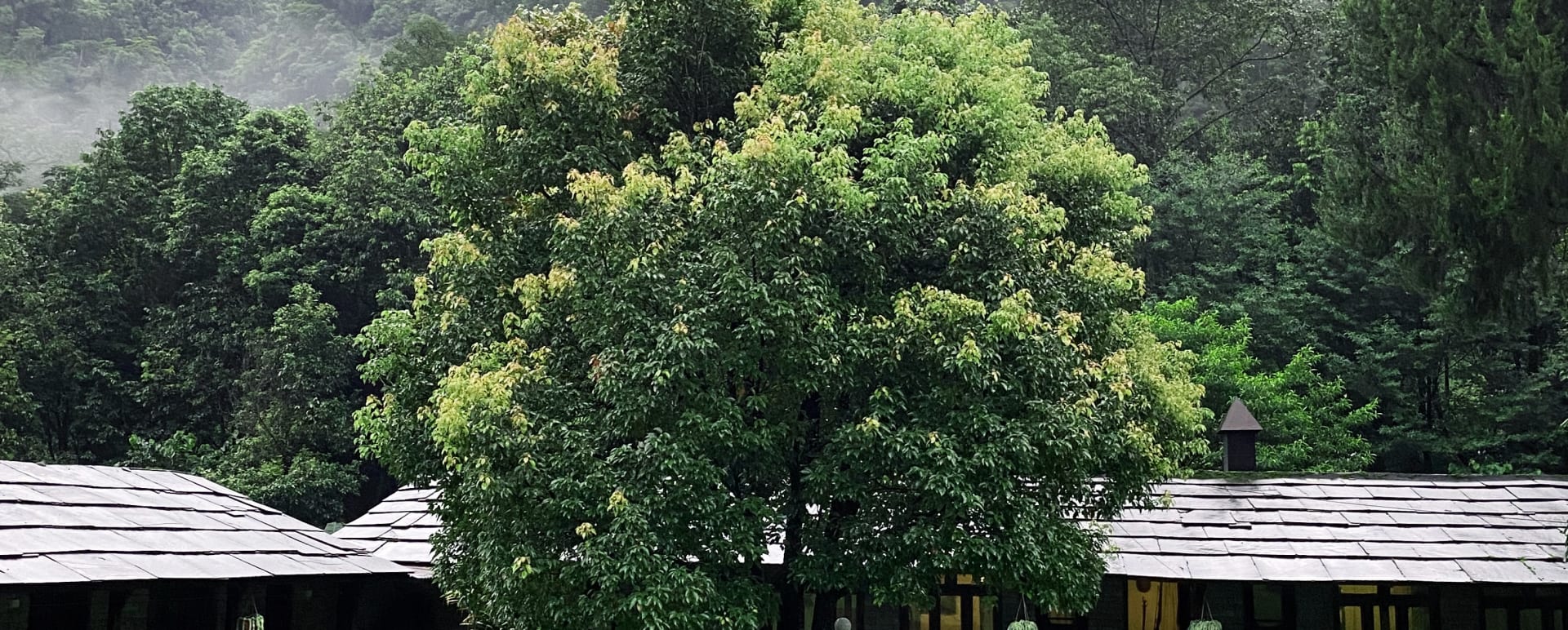 Outdoor Area 