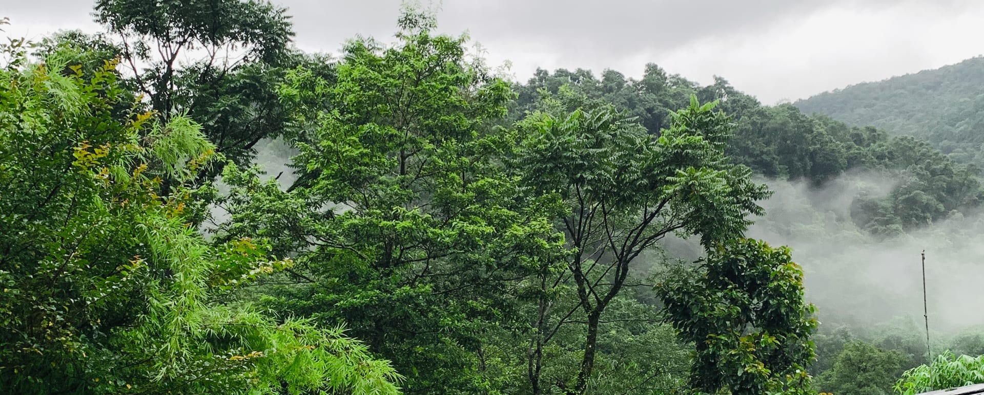 Building Greenery  