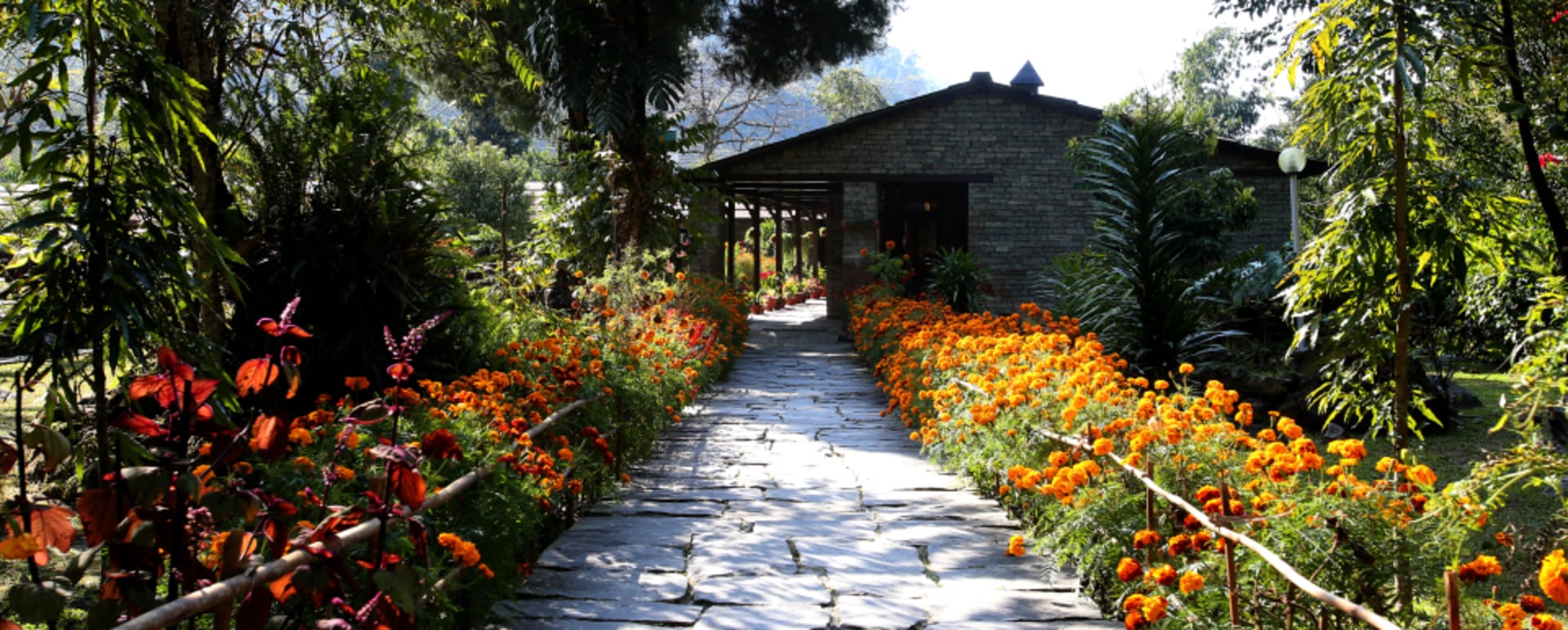 Gardens 