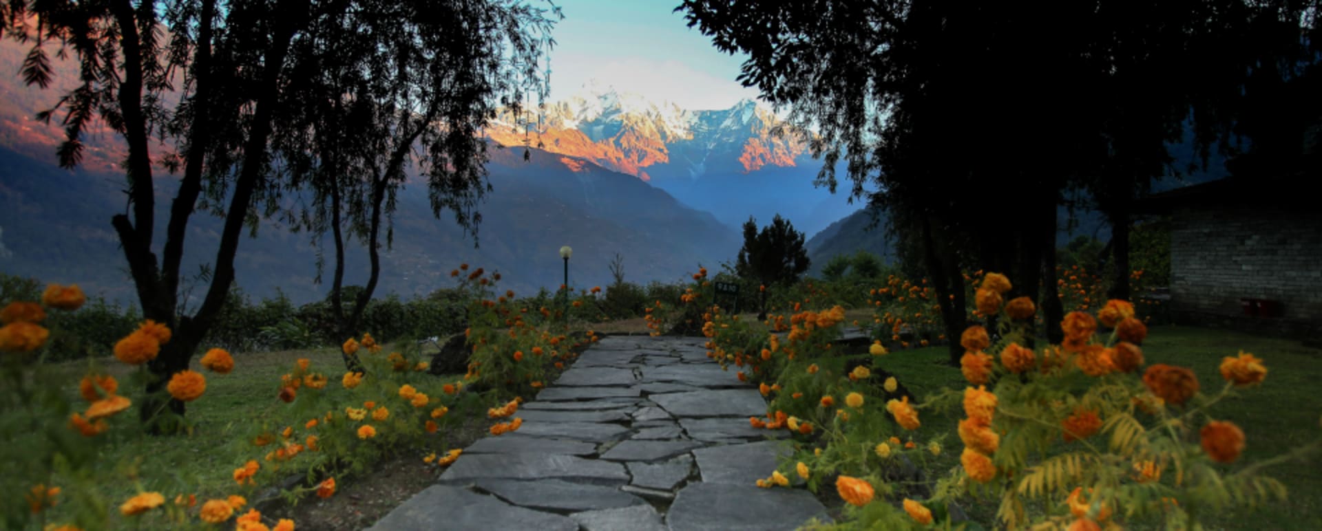 Path 