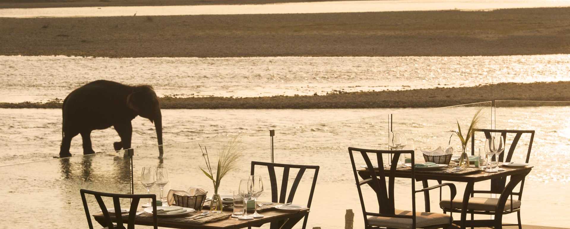 Unique Dining Experiences - Meghauli Serai