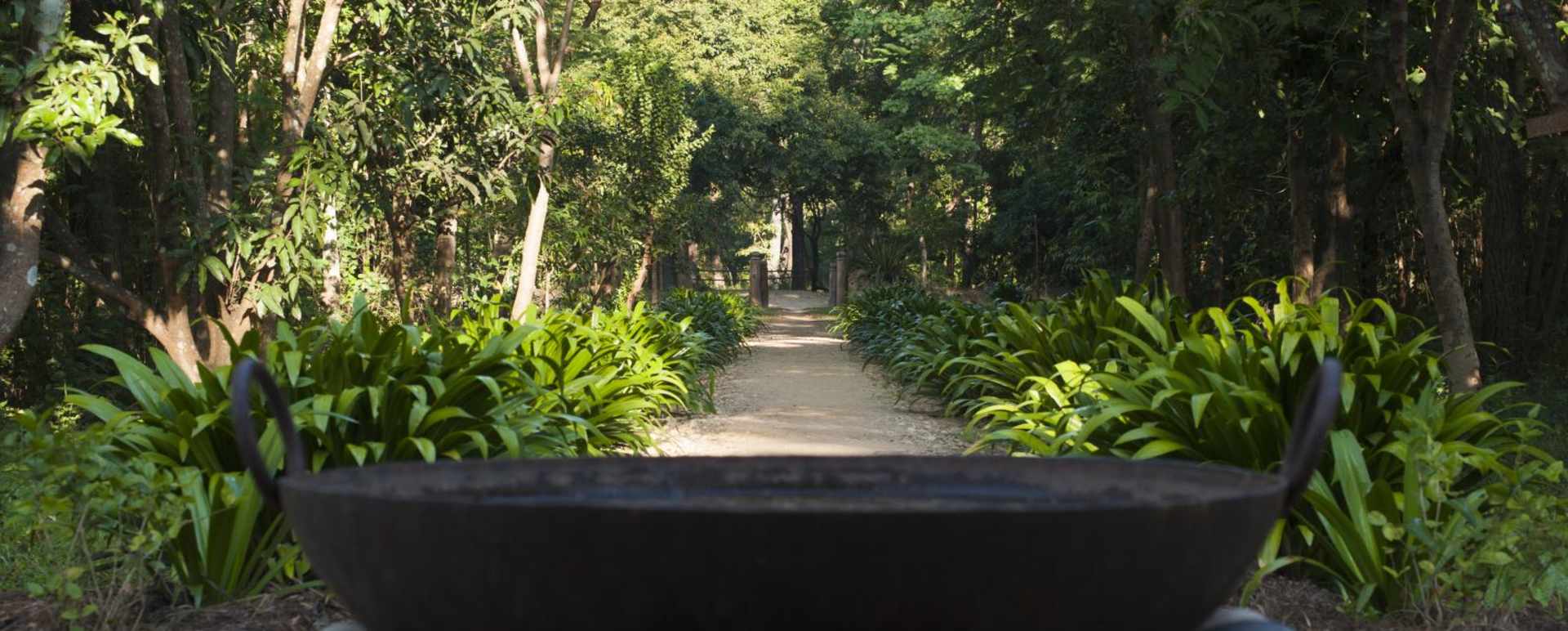 Grounds 