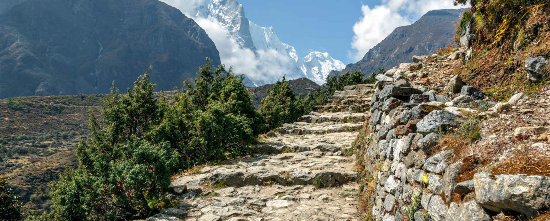 Wild Nepal 