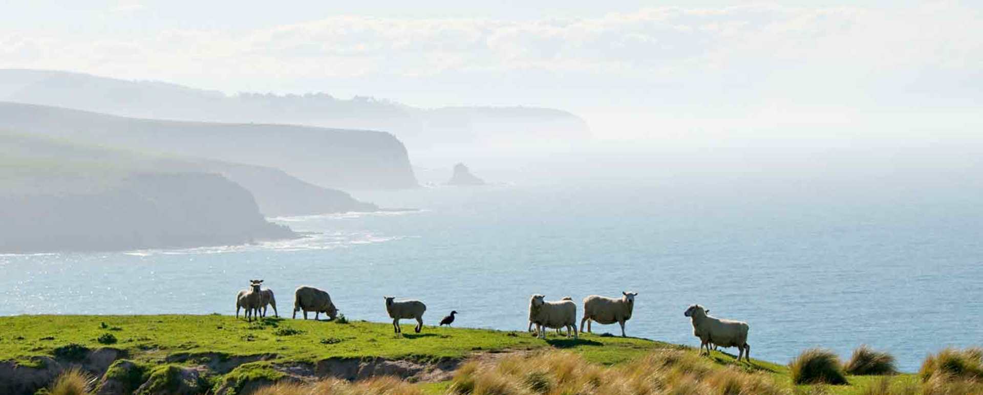 Working farm - Annandale