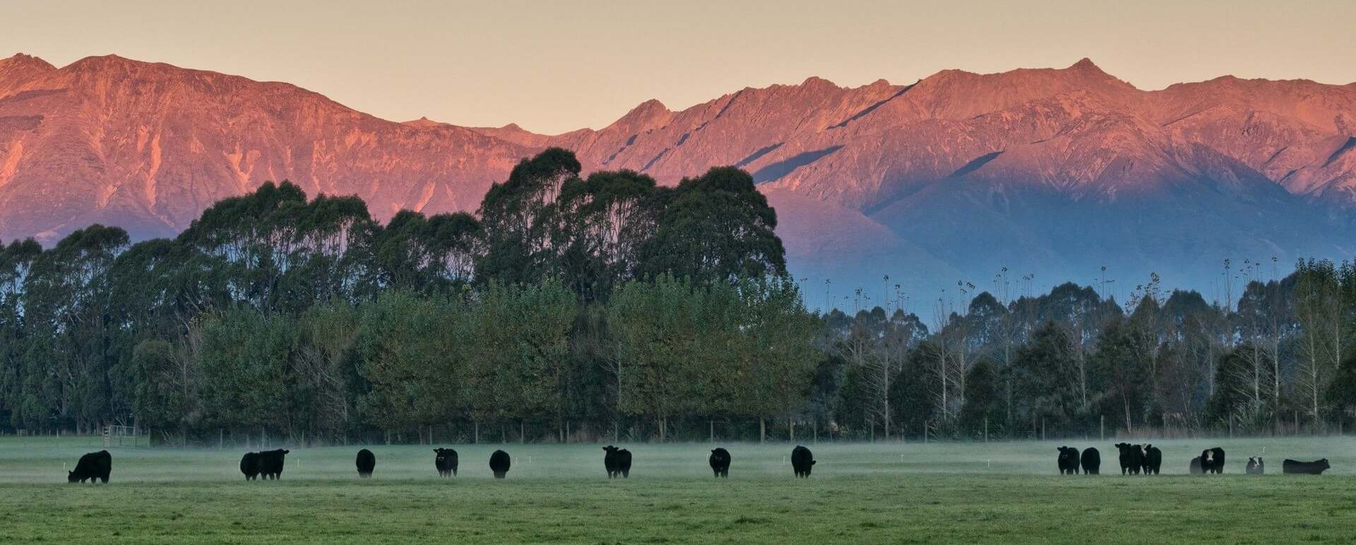 Farmland