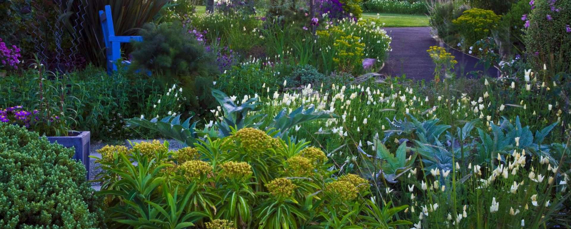 Gardens - Edenhouse