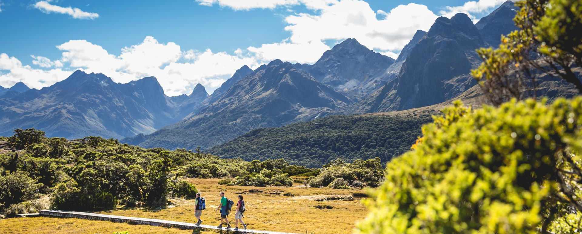 Landscape   - Fiordland Lodge