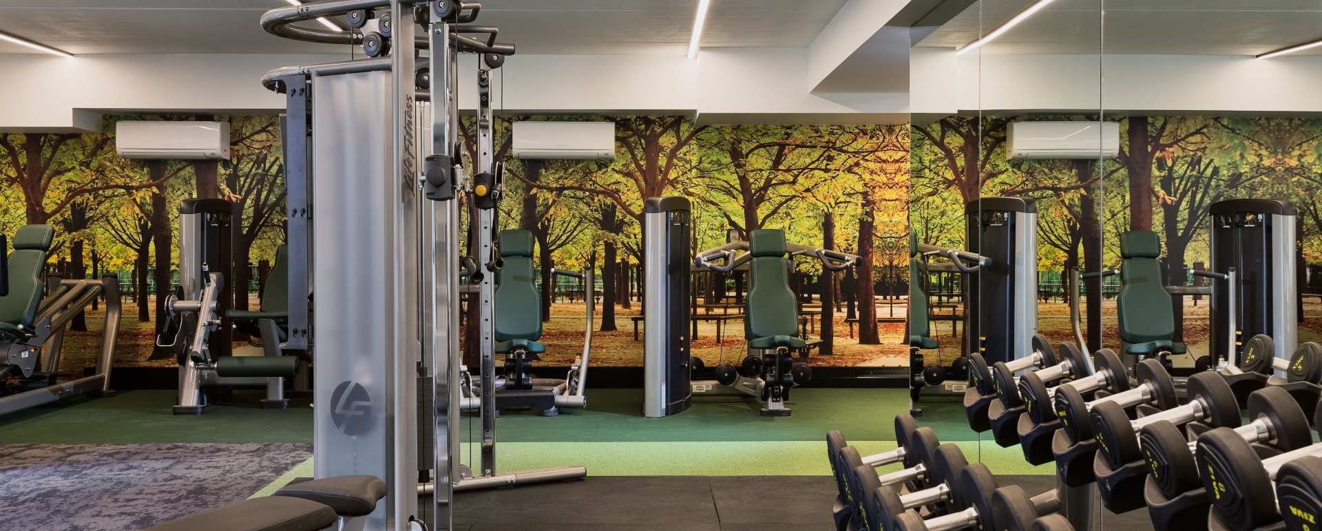 Gym - Sofitel Wellington 