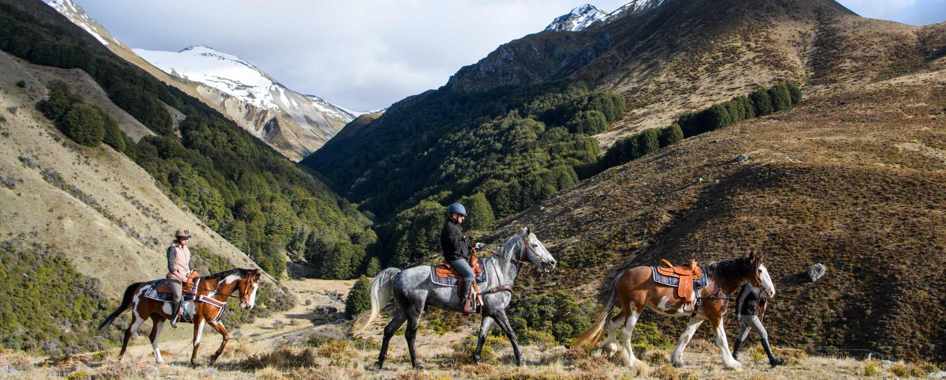Horseriding from The Lindis 