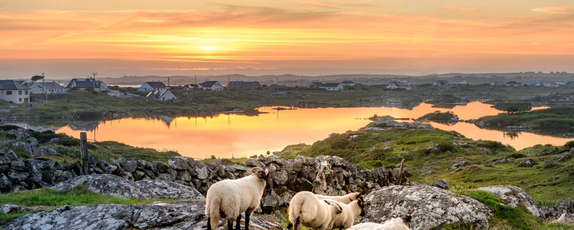 Connemara