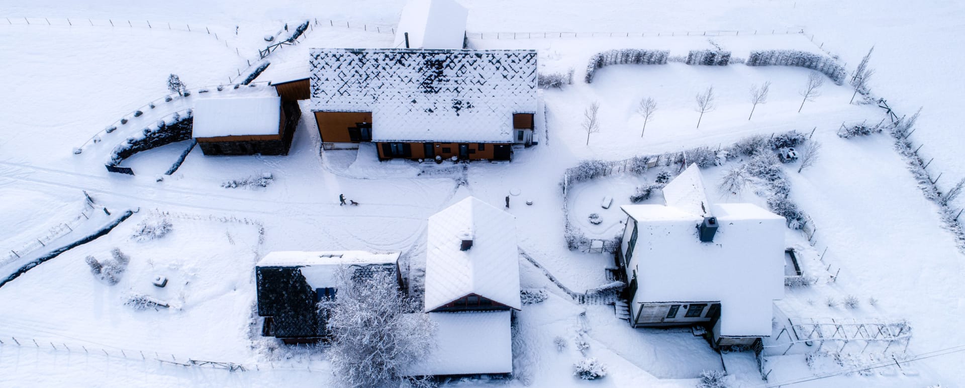 Winter time  