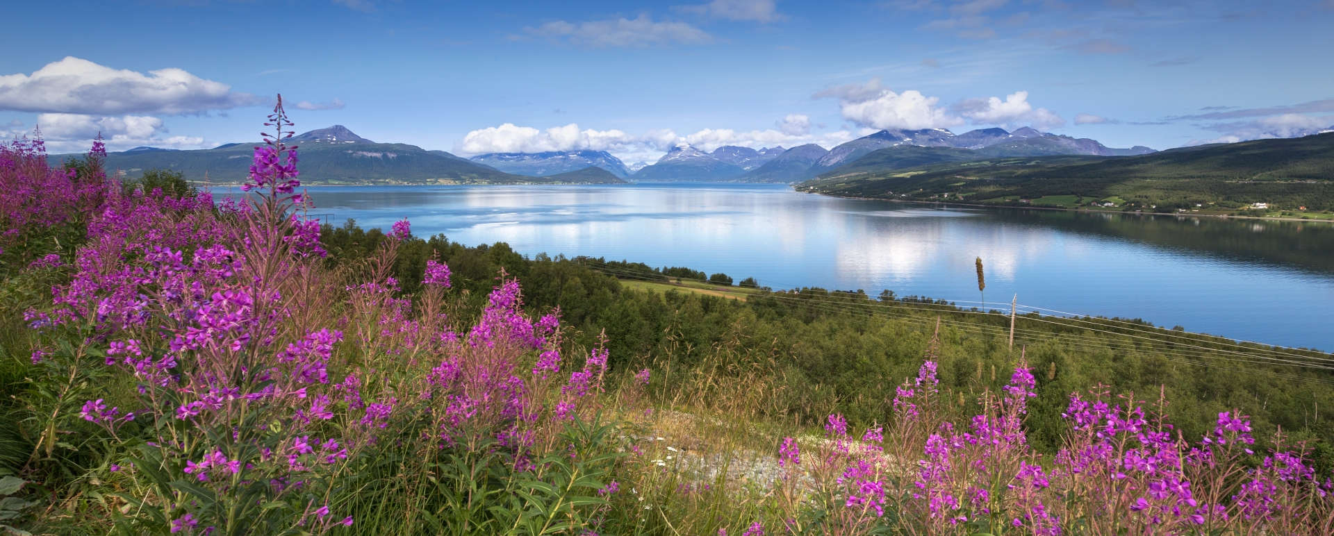 Sea safari in Northern Norway