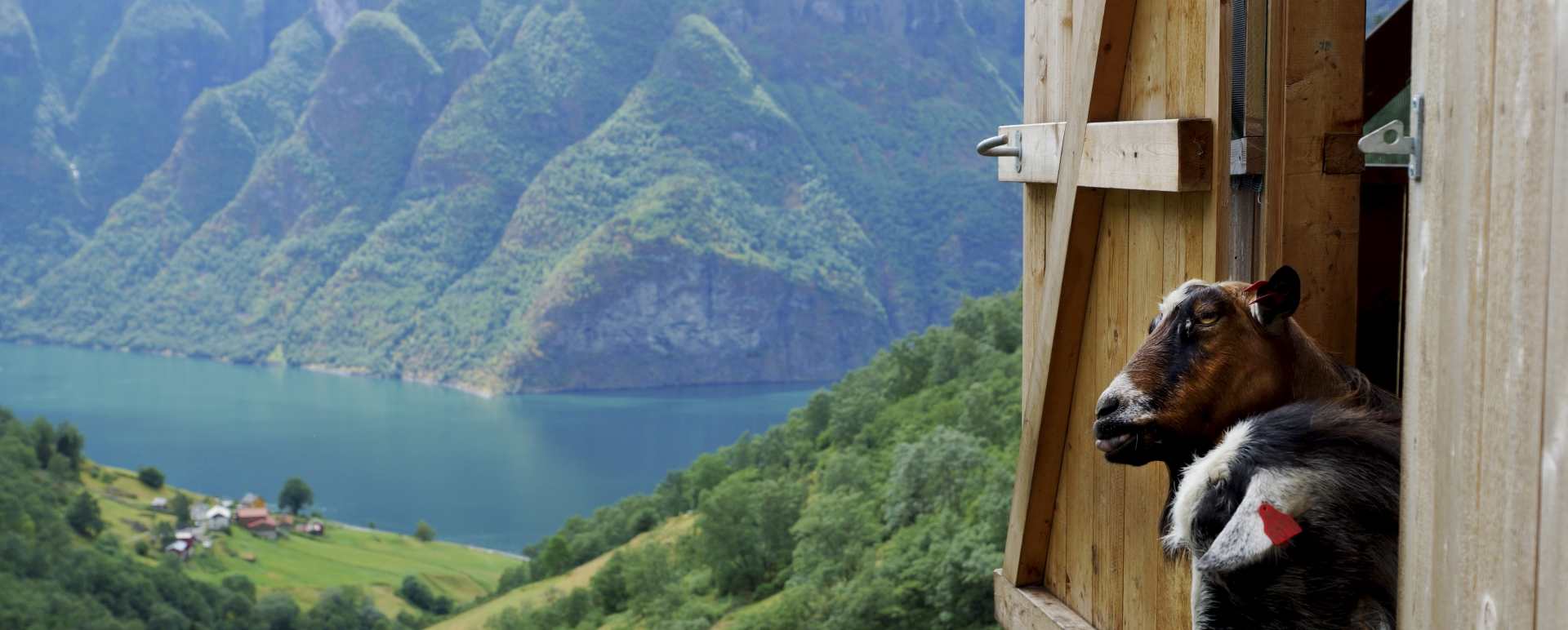 Aurland 