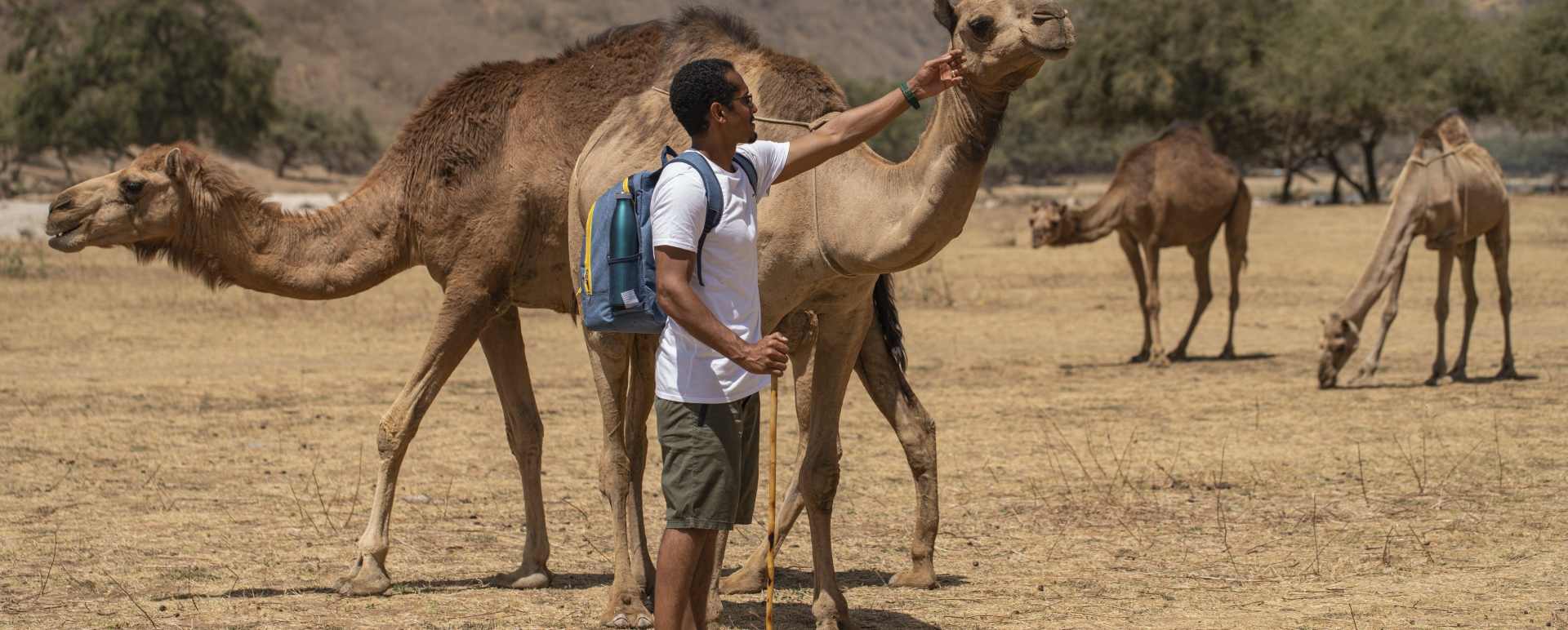 Camel-Experience 