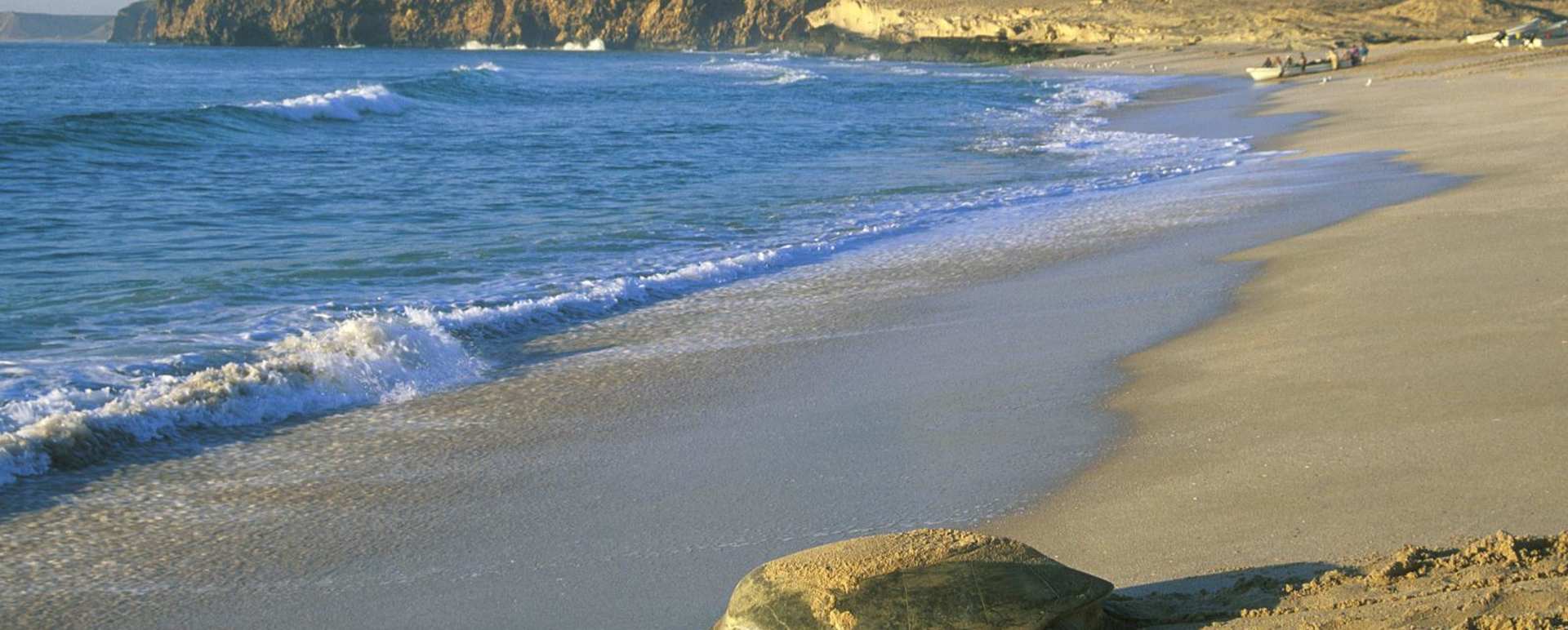 Beach - Ras al Jinz Turtle Reserve